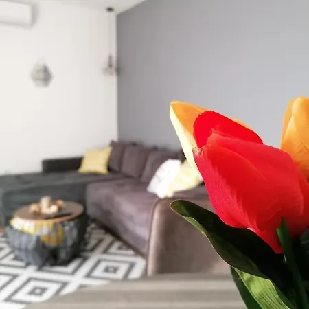 Apartment Jakov